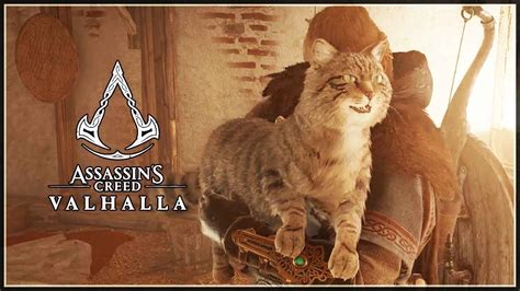Petting A Cat Assassins Creed Valhalla Mindovermetal English