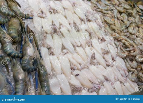 Fresh Squid On The Market For Sale White Raw Squid Seafood Stock Image