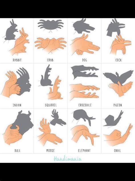 How To Make Cool Hand Shadow Puppets Hand Shadows Shadow Puppets