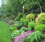Pictures of Backyard Landscaping On A Hill