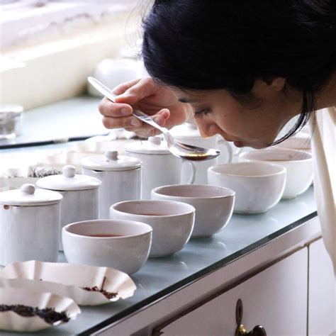 Cupping Tea Vs Tea Tasting A Beginners Guide Sesa Says Sesa Pure