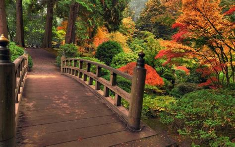 Bridges Nature Landscapes Plants Bush Trees Autumn Fall Color Leaves