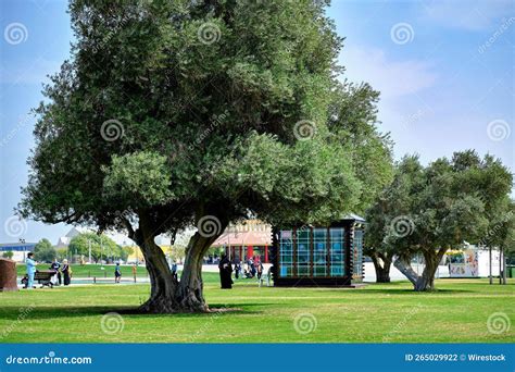 Beautiful Shot Of Trees At Aspire Park Doha Qatar Editorial