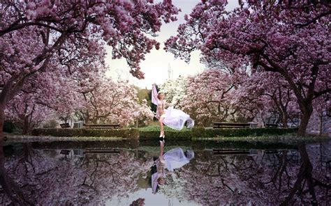 Dream Spring 2012 Reflection Wallpapers Hd Wallpapers 96662