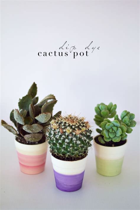 Dip Dye Cactus Pot One Brass Fox Cactus Pot Succulent Pots