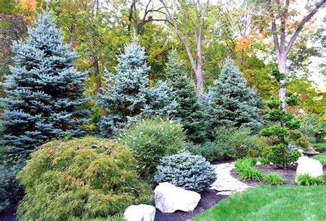 Check spelling or type a new query. Pin by leatrice kimener on Planting Ideas | Backyard trees ...