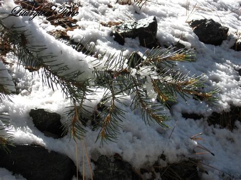 Liturgical Time Walking The Seasons Snow Melt And Heart