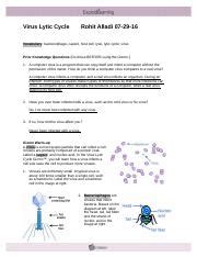 Guide gizmo cell division answer key ebook, cell structure exploration activities, student exploration stoichiometry gizmo answer key pdf. 34 Student Exploration Collision Theory Worksheet Answers ...