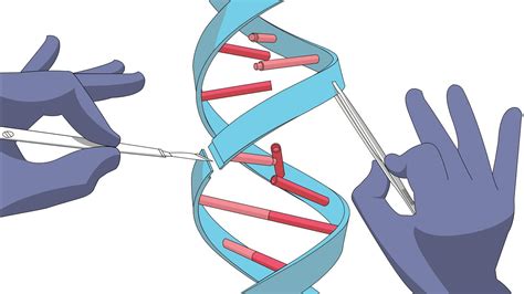 Qué es CRISPR y qué puede hacer IntelDig