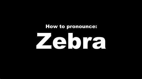 How To Pronounce Zebra - YouTube
