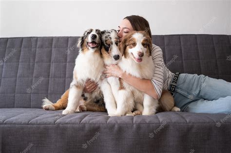 Premium Photo Woman Hugs With Three Merle Colours Australian Shepherd