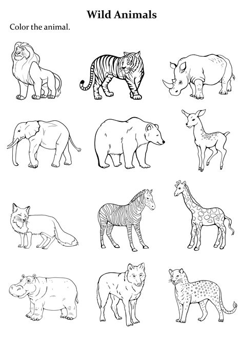 Group Of Animals Coloring Page Easy To Print