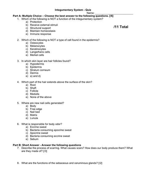 Integumentary System Quiz Science 9th Grade