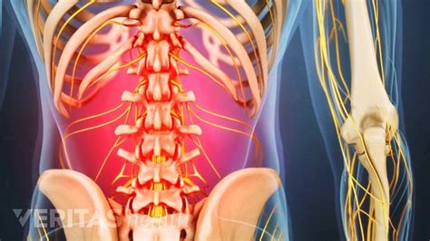 Lower Back Pain Location Chart Ovulation Symptoms