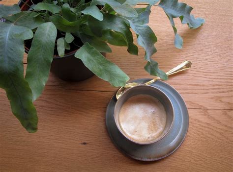 Coffee and Healthy Food Guide to Düsseldorf, Germany