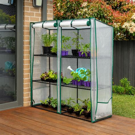 Cyclone Backyard Farmer Maxi Greenhouse Bunnings Australia