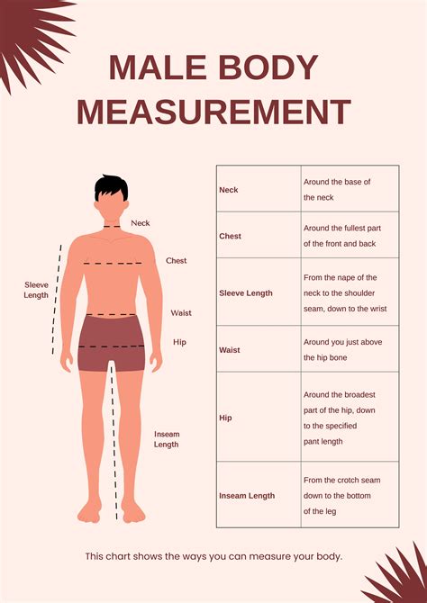 Printable Male Body Measurements Chart The Best Porn Website