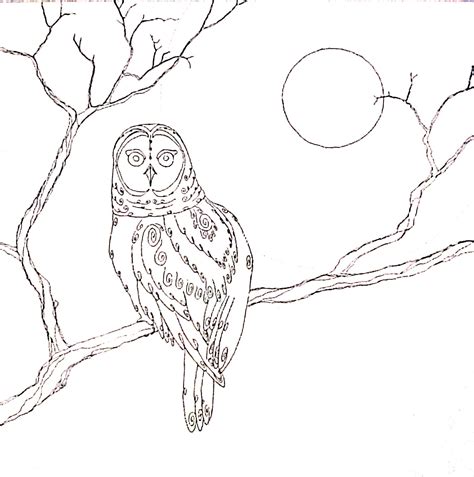 That is most certainly a fine owl in a tree hole!! Owl On A Branch Drawing at GetDrawings | Free download