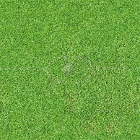 Artificial Green Grass Texture Seamless 13063