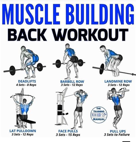 A Poster With Instructions On How To Do The Back Workout For Muscle Building And Strength Training