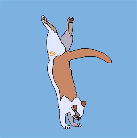 Cat Handstand Minimalcatart