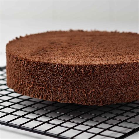 Top 149 Foolproof Chocolate Sponge Cake Awesomeenglish Edu Vn