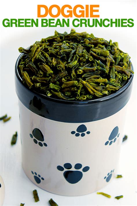 If your dog has a corn allergy, you can substitute additional flour or oats for the cornmeal. Doggie Green Bean Crunchies