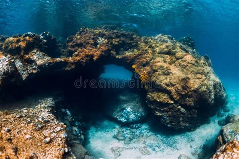 Underwater Scene With Tunnel Cave In Blue Ocean Stock Photo Image Of