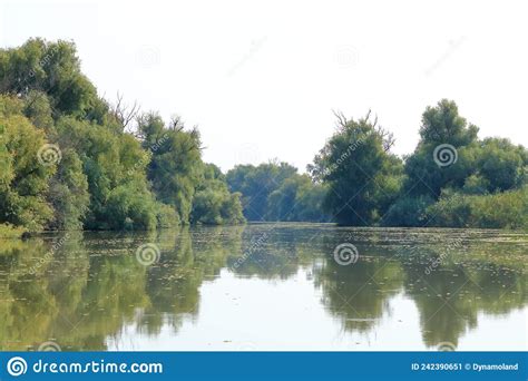 A Small River Channel In The Danube Delta Stock Image Image Of Lake
