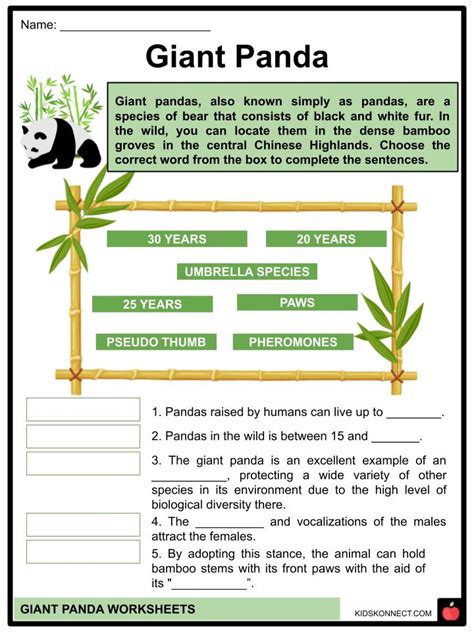 Oso Panda Worksheet From Twistynoodle Com Animal Work - vrogue.co