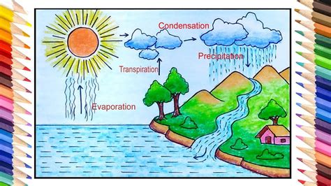 Ask your child to help you peg some. How to draw Water Cycle easy (With images) | Cycle ...