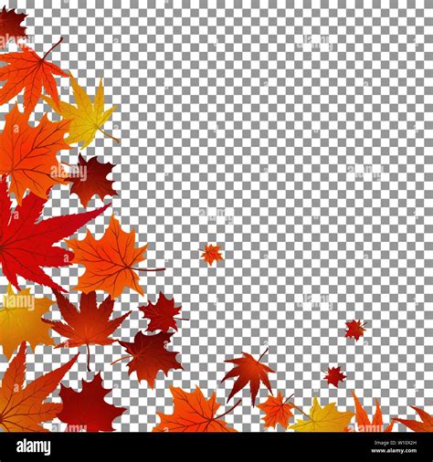 Autumn Maples Falling Leaves Background Vector Illustration Stock