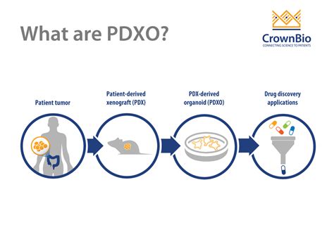 什么是pdx来源的类器官pdxos Crown Bioscience