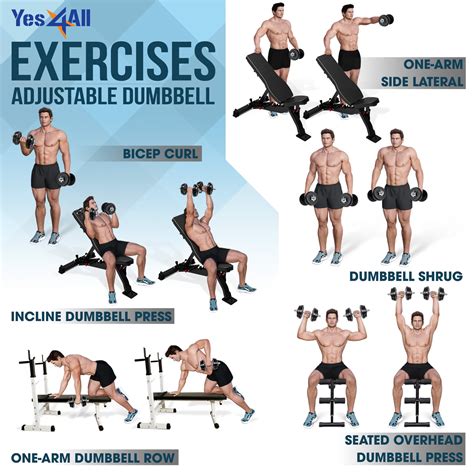 Exercises To Do With Dumbbells At Home Best Design Idea