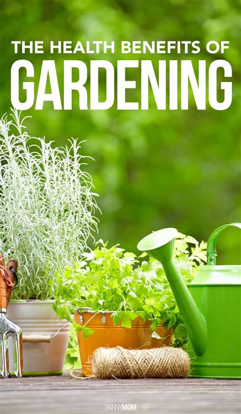 The Health Benefits Of Gardening With Images Benefits Of Gardening