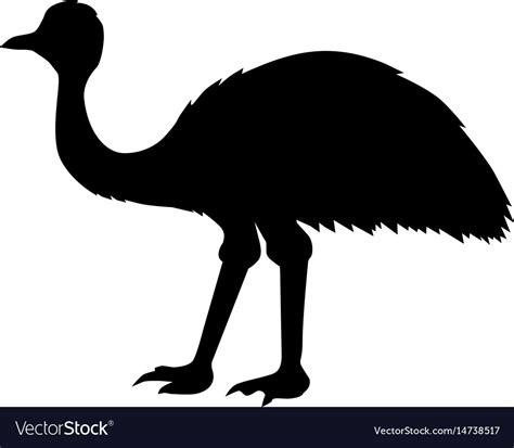 Ostrich Emu Royalty Free Vector Image Vectorstock