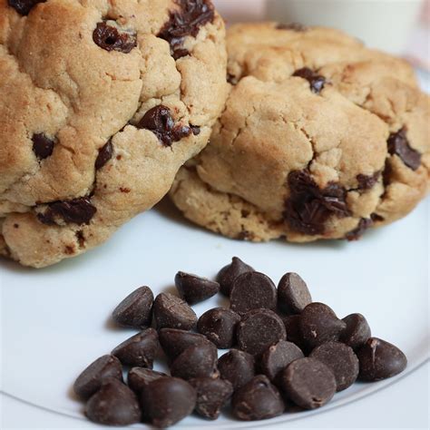 Double Chocolate Chip Cookies The Cookie Pusher