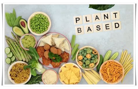 5 Reasons Why You Should Start Eating Plant Based Foods Today Bc Educate