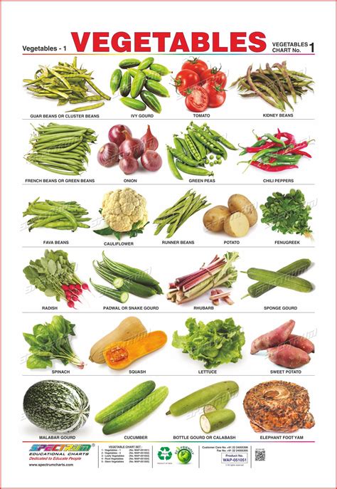 Root Vegetables Chart