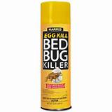 Pictures of Hot Shot Bed Bug Spray Review