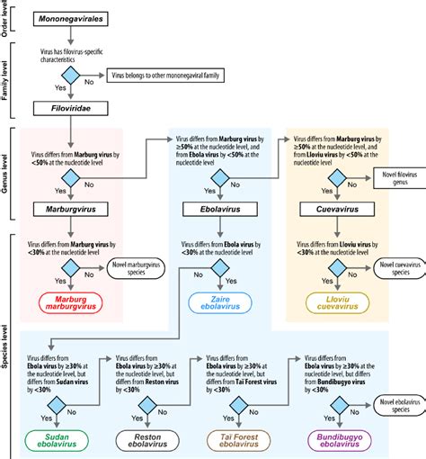 Genome Based Classification Of Novel Filoviruses Or Filovirus Genomic