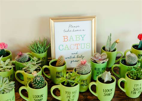 There are around 2000 different species certain cacti produce substance called mescaline which induces hallucinogenic effects. Mini Cactus Mug Party Favors | Baby shower party favors ...