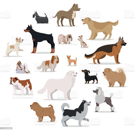 Dogs Breed Set In Cartoon Style Isolated On White Stock