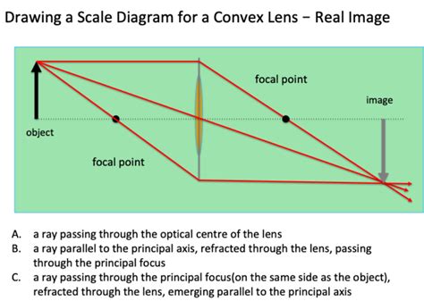 5 Ray Diagram Convex Lens Real Image Diagram Quizlet