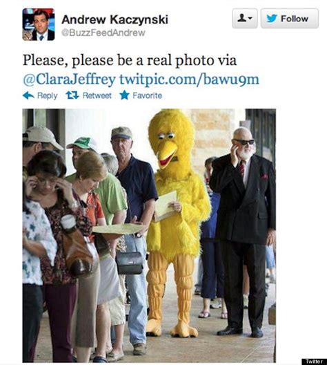 John Kelso Humor Columnist Dresses As Big Bird To Cast Vote In Texas Photo Huffpost Good News
