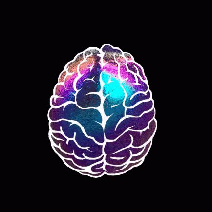 Brain GIF Brain Mind Descubre Y Comparte GIF
