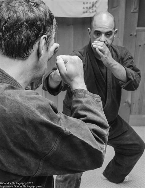 Togakure Ryu Ninpo Taijutsu Kokyu Ho Breathing Techniques For The