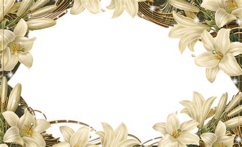 Flower Border Png - Flower Frame PNG - PSD, vector Free Download : Free