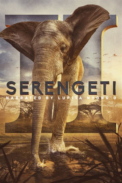 watch serengeti online season 2 2021 tv guide