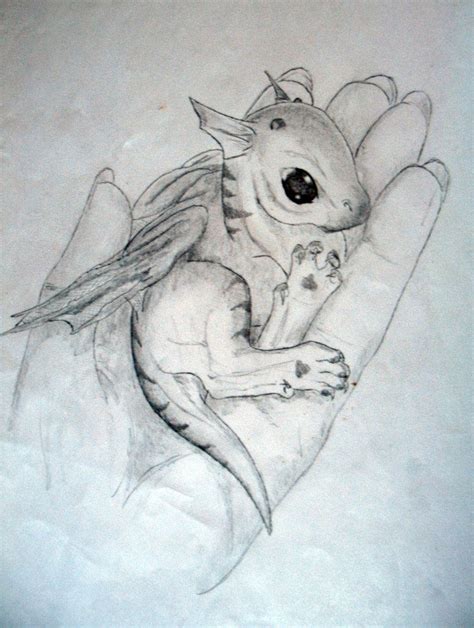 How To Draw A Dragon Baby Dragons Drawing Drawings Images And Photos